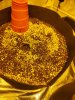 20210608_055858.jpg