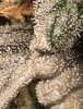 IMG_20210617_105725.jpg