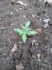 IMG_20210618_200313136.jpg