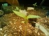 2009-07-11 13.59.25.jpg