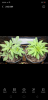 Screenshot_2021-06-23-22-29-03-45.png