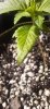 20210626_165845.jpg