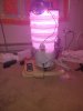 20210628_074836.jpg
