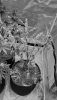 20210629_192841.jpg