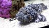 20210701_202711.jpg 20210701_202711.jpg