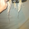 IMG_20210619_233045_223.jpg