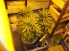 DSC04862.jpg