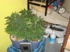 DSC04856.jpg