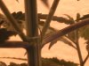 DVC00316.JPG