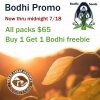 Bodhi Promo.jpg