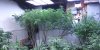 20210716_083007.jpg