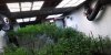 20210716_074257.jpg
