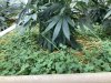 F790EE94-9C28-426A-97C3-57D3BC559551.jpeg