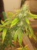 20210203_043042.jpg
