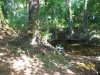 100_3140.jpg