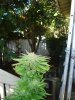DSC03467.jpg