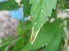 2009_07130002.jpg