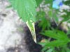 2009_07130003.jpg