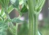 29D15BEB-D524-423C-A698-A4A6BC4AA377~2.jpeg