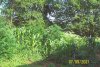 100_3547.JPG