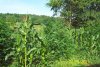 100_3548.JPG