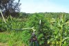 100_3549.JPG