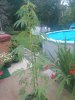 IMG_20210720_202128927.jpg