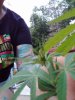 IMG_20210725_202159310.jpg