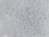 20210727_174841.jpg