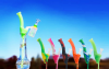 Traveler-2.png