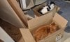 cat_in_boxes.jpg