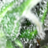 20210805_21_52_24.png 20210805_21_52_24.png