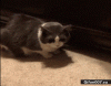 unnamed.gif