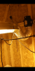 Screenshot_20210807-103152.png