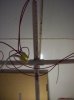 TOWER AND TEABAG 002.jpg