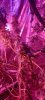 20210901_170325.jpg