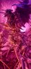 20210901_170307.jpg