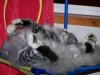 Laptop Pics 891.jpg