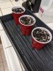 PXL_20210904_215205473.jpg