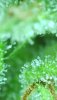 2021_08_29_23_12_44_201.jpg