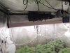 medic-grow-spectrum-x-plant-shaping.jpg