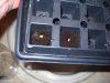 DSCN2815.JPG