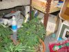 DSC04936.jpg