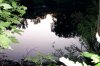 DCP_0220.jpg