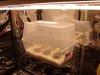DSC01065.jpg