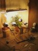 setupjuly2009.jpg