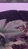 C257CCBB-E0A5-4574-8BC8-3080B9CDF6D9.jpeg