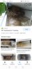 Screenshot_20210925_090400_com.google.android.googlequicksearchbox.jpg