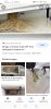 Screenshot_20210925_090405_com.google.android.googlequicksearchbox.jpg