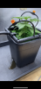 B603275F-807F-4E42-A7A4-ACD7ED39831D.png